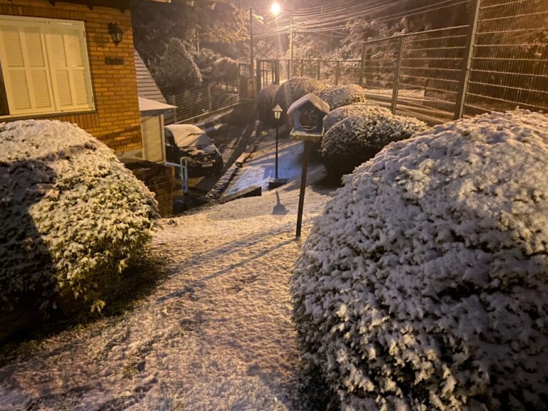 neve-em-gramado