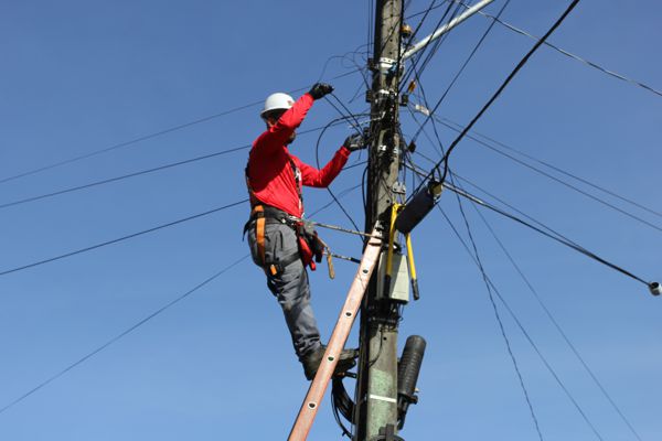 Foto Prefeitura de Canela realizará a 5ª etapa da Operação Poste Limpo no dia 10