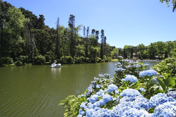 Foto Gramado receberá gravações de um grande programa de TV nacional
